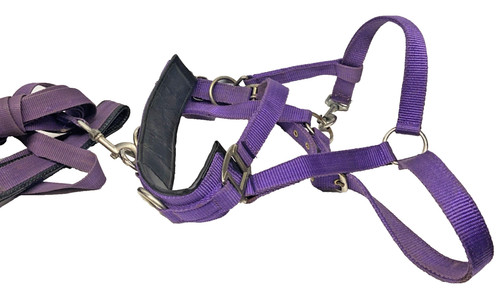 Premier head collar full horse - premier,