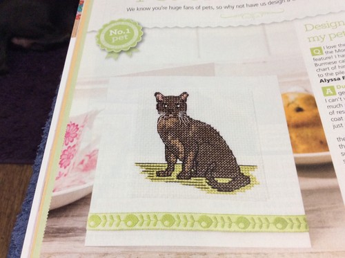 Burmese cat cross stitch - cross,