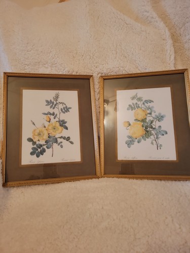 Vintage pierre joseph - vintage, redoute