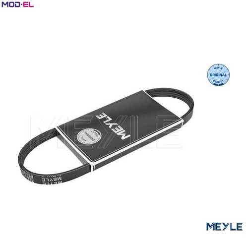 Vribbed belt 050 004 0815 - vribbed,