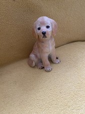 Golden Retriever Puppy Lenox