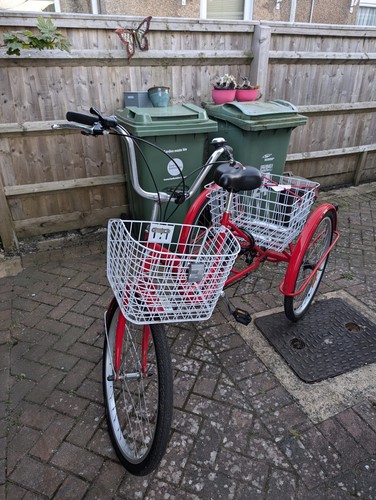 Jorvik adult tricycle - jorvik,
