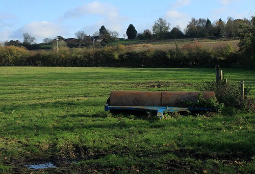 Photo 2011 field - 2011,