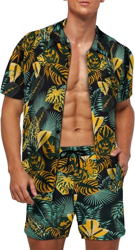 Mens hawaiian shirt and - mens, shorts