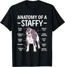 Anatomy Of A Staffy