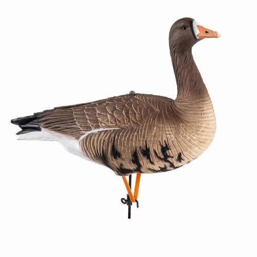 Goose call with perch