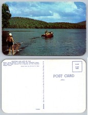 Water skiing lake boat forest - water,