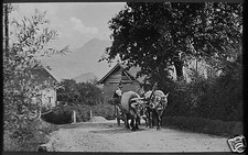 Glass Magic Lantern Slide MAN DRIVING OX CART C1920 NORTHERN ITALY ? PHOTO NO1D