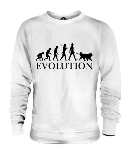Tibetan mastiff evolution - tibetan, of