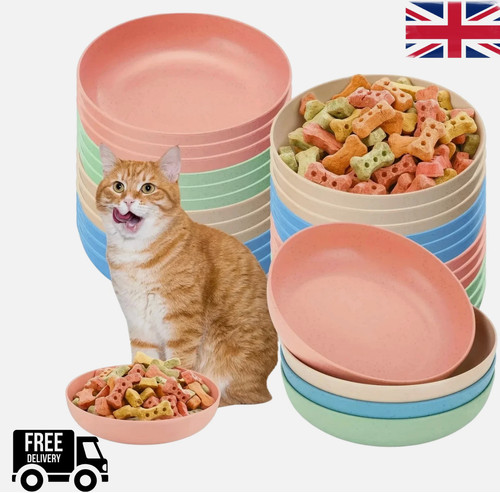 Pack shallow cat bowls - shallow,
