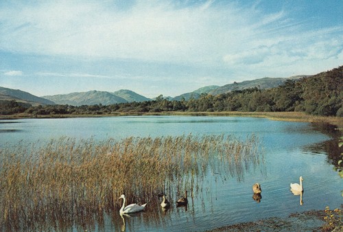 Loch loskin dunoon argyll - loch, loskin,dunoon,argyll