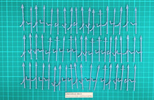 Tomb Kings Spears x 52