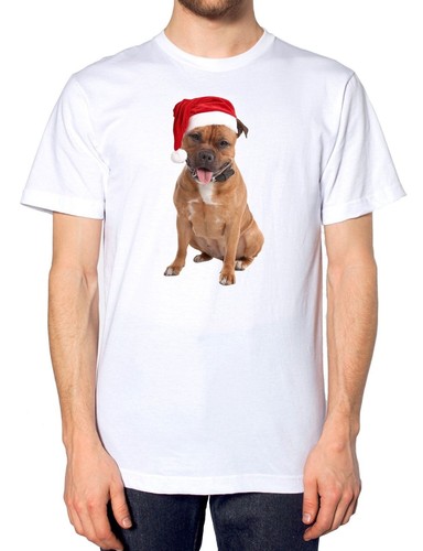 Staffordshire bull terrier - bull,