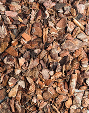 SMALL ORCHID BARKS | Terrarium Substrate | Supplies | Natural Bark Decoration