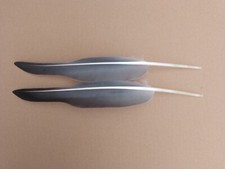 2 Left Grey Goose Wing Quill Feathers 13" inch / 33 cm - Floats, Quill Pen