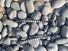 armstrong power boom ,wingfoil