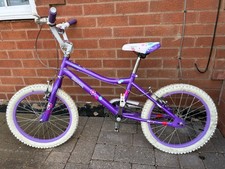 Used Girls 'Purple Blossom'