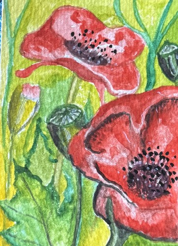 Aceo original watercolour - aceo,