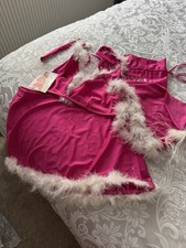 Ann Summers Pink Sexy Miss Santa Outfit 10-12