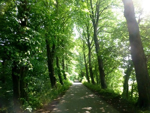 Photo cycling along the - a3,