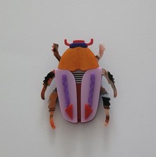 Acrylic Beetle brooch