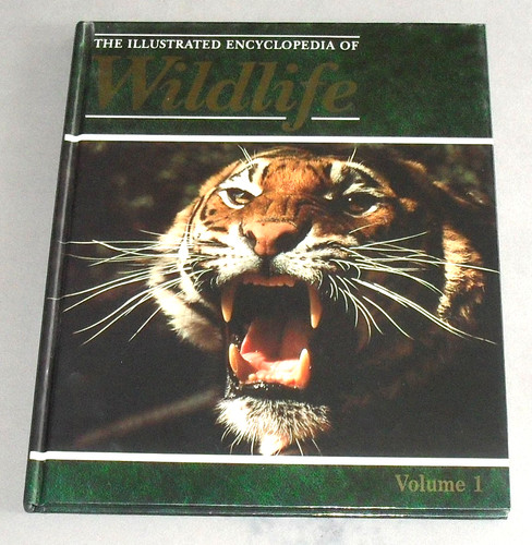 Illustrated encyclopedia - encyclopedia, of