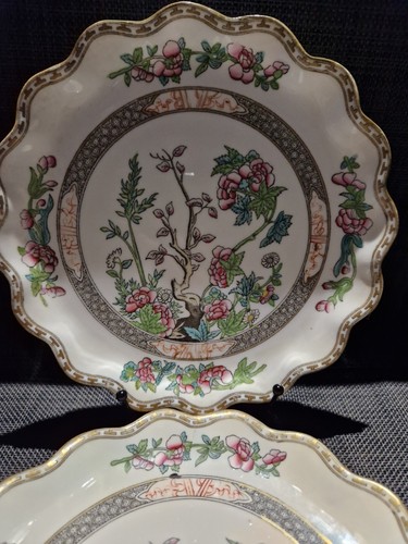 Antique coalport indian tree - antique,