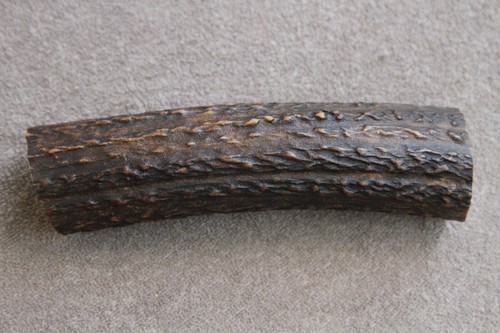 Real red deer antler piece - real,