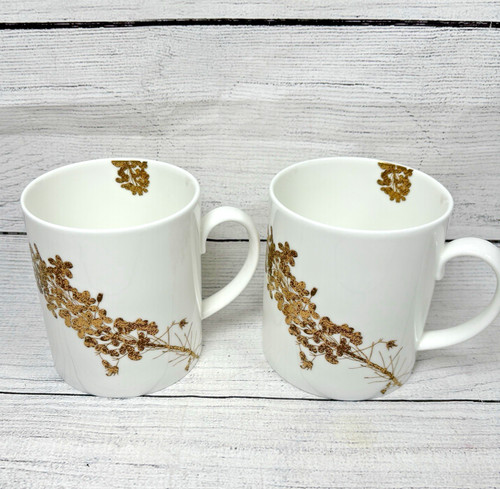 Vera wang jardin wedgwood bone - wang,