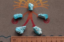 5 Small Sleeping Beauty