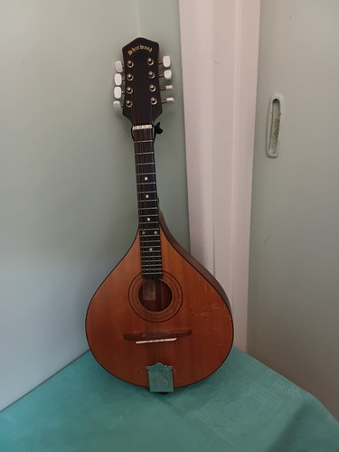 Sherwood mandolin with hard - sherwood,