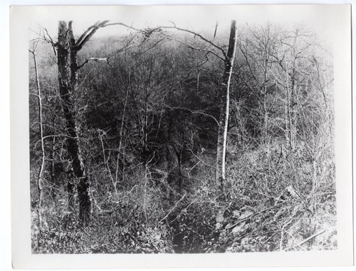 1918 argonne underground - 1918,
