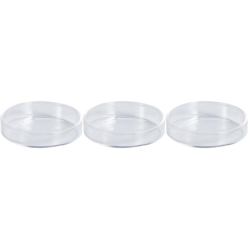 Pieces ornamental shrimp - 3,