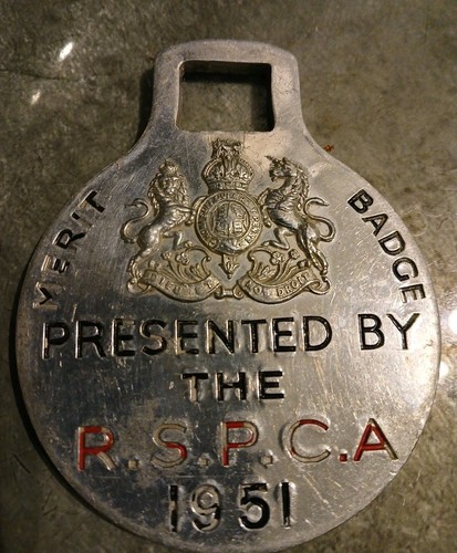 Vintage 1951 rspca london van - vintage,