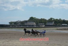 PHOTO  SULKY RACING THE RACE