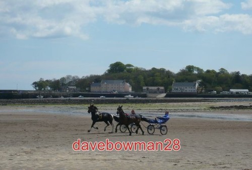 Photo sulky racing the race - sulky,