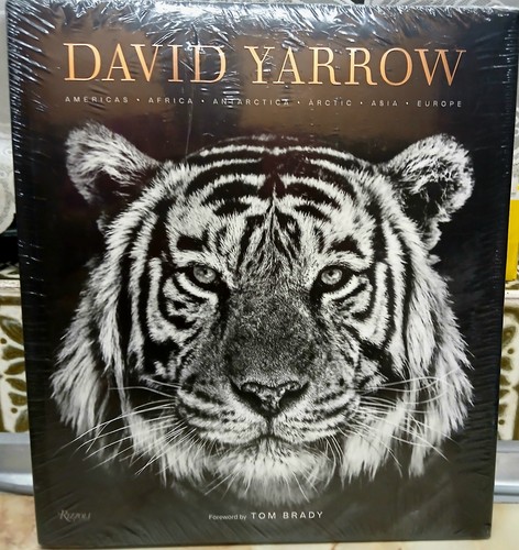 David yarrow wildlife - yarrow,