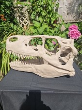 Utahraptor Life-size Dinosaur Replica Skull