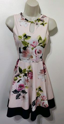 Select pale pink floral rose