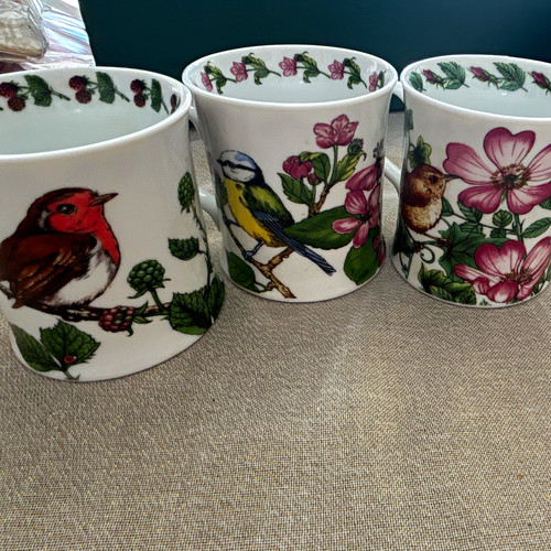 Joy middleton british birds - middleton,