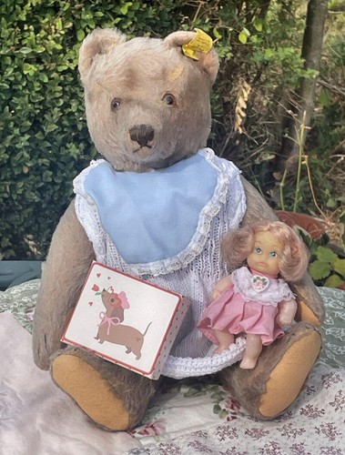 Old antique steiff bear with - steiff,