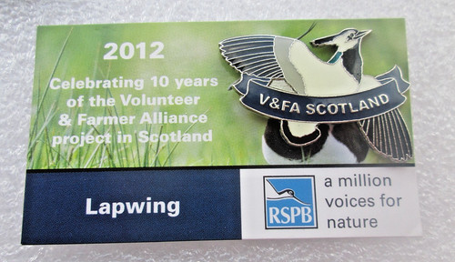 Rspb charity pin - rspb,