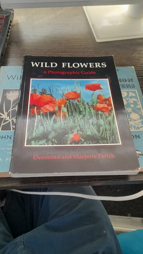 Common wild flowers and more - common,