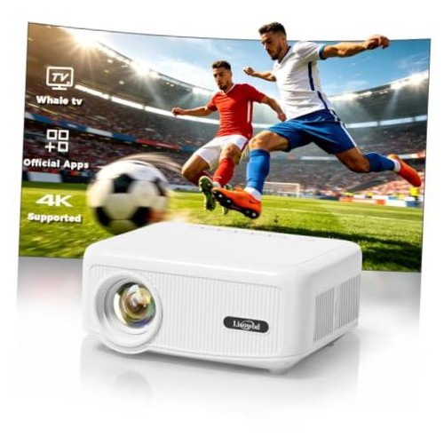 Outdoor projector 1900 - outdoor,