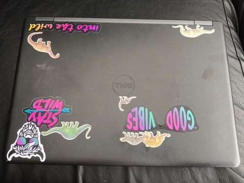 Job lot dell latitude - job,