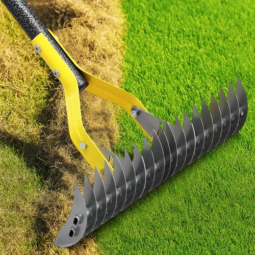 Dualaction thatch rake - rake, for