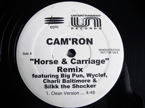 Cam ron horse carriage - cam'ron,