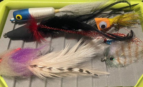 Assortment saltwater - 6,