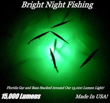 Underwater 300 LED Fish