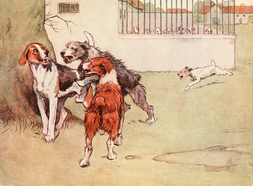 Cecil aldin prints white - aldin,